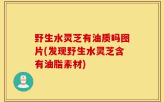 野生水灵芝有油质吗图片(发现野生水灵芝含有油脂素材)