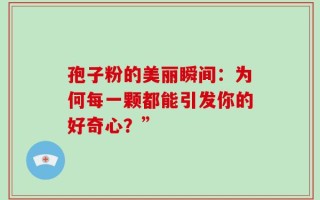 孢子粉的美丽瞬间：为何每一颗都能引发你的好奇心？”