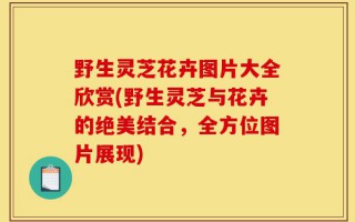 野生灵芝花卉图片大全欣赏(野生灵芝与花卉的绝美结合，全方位图片展现)