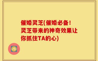 催婚灵芝(催婚必备！灵芝带来的神奇效果让你抓住TA的心)
