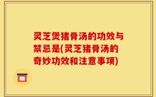 灵芝煲猪骨汤的功效与禁忌是(灵芝猪骨汤的奇妙功效和注意事项)