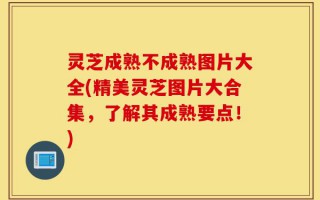 灵芝成熟不成熟图片大全(精美灵芝图片大合集，了解其成熟要点！)