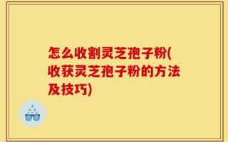 怎么收割灵芝孢子粉(收获灵芝孢子粉的方法及技巧)