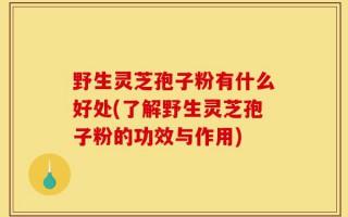 野生灵芝孢子粉有什么好处(了解野生灵芝孢子粉的功效与作用)