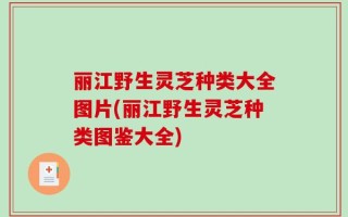 丽江野生灵芝种类大全图片(丽江野生灵芝种类图鉴大全)