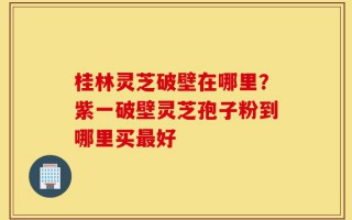 桂林灵芝破壁在哪里？紫一破壁灵芝孢子粉到哪里买最好