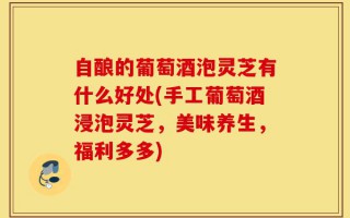 自酿的葡萄酒泡灵芝有什么好处(手工葡萄酒浸泡灵芝，美味养生，福利多多)