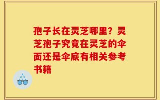 孢子长在灵芝哪里？灵芝孢子究竟在灵芝的伞面还是伞底有相关参考书籍