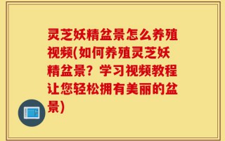 灵芝妖精盆景怎么养殖视频(如何养殖灵芝妖精盆景？学习视频教程让您轻松拥有美丽的盆景)