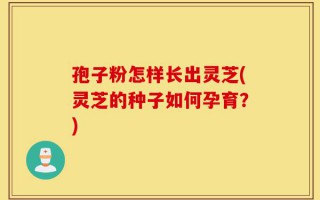 孢子粉怎样长出灵芝(灵芝的种子如何孕育？)