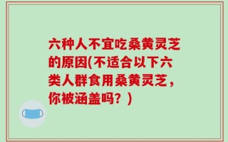 六种人不宜吃桑黄灵芝的原因(不适合以下六类人群食用桑黄灵芝，你被涵盖吗？)