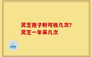 灵芝孢子粉可收几次？灵芝一年采几次