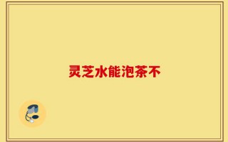 灵芝水能泡茶不