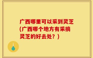 广西哪里可以采到灵芝(广西哪个地方有采摘灵芝的好去处？)