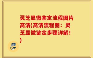 灵芝显微鉴定流程图片高清(高清流程图：灵芝显微鉴定步骤详解！)