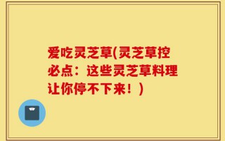 爱吃灵芝草(灵芝草控必点：这些灵芝草料理让你停不下来！)