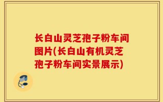 长白山灵芝孢子粉车间图片(长白山有机灵芝孢子粉车间实景展示)
