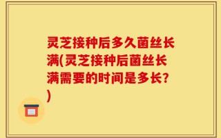 灵芝接种后多久菌丝长满(灵芝接种后菌丝长满需要的时间是多长？)