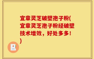 宜章灵芝破壁孢子粉(宜章灵芝孢子粉经破壁技术增效，好处多多！)