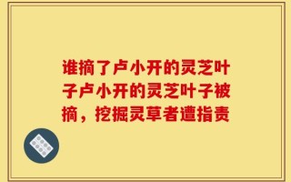 谁摘了卢小开的灵芝叶子卢小开的灵芝叶子被摘，挖掘灵草者遭指责