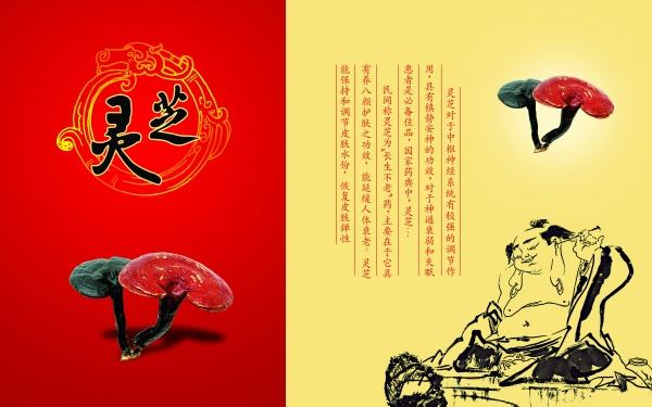 灵芝孢子粉的功效真的可以延年益寿吗?-第1张图片-灵芝之家 灵芝孢子粉的功效真的可以延年益寿吗?-第1张图片-灵芝之家
