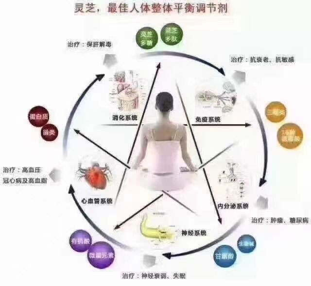 所有人都可以吃灵芝孢子粉吗?怎么避免出现灵芝孢子粉的副作用?-第1张图片-灵芝之家 所有人都可以吃灵芝孢子粉吗?怎么避免出现灵芝孢子粉的副作用?-第1张图片-灵芝之家