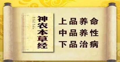 长期吃灵芝孢子粉有副作用吗?灵芝孢子粉的副作用都有哪些呢?-第1张图片-灵芝之家 长期吃灵芝孢子粉有副作用吗?灵芝孢子粉的副作用都有哪些呢?-第1张图片-灵芝之家