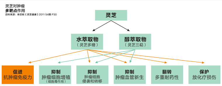 灵芝孢子粉真的抗癌吗?肝癌吃灵芝孢子粉有用吗?-第1张图片-灵芝之家 灵芝孢子粉真的抗癌吗?肝癌吃灵芝孢子粉有用吗?-第1张图片-灵芝之家