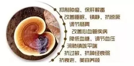 盘点破壁灵芝孢子粉的功效与作用-第1张图片-灵芝之家 盘点破壁灵芝孢子粉的功效与作用-第1张图片-灵芝之家