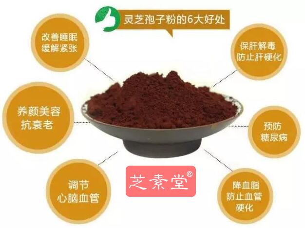 芝素堂灵芝孢子粉的功效与作用是什么 楠楠为你解析它的神奇妙用-第1张图片-灵芝之家