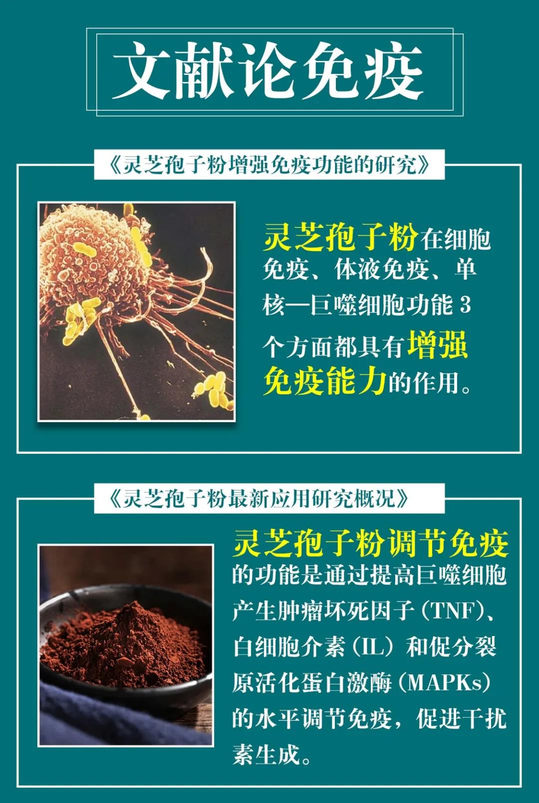 灵芝孢子粉的功效可以提高免疫力吗?-第1张图片-灵芝之家 灵芝孢子粉的功效可以提高免疫力吗?-第1张图片-灵芝之家