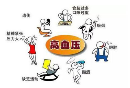 灵芝孢子粉的功效能不能降高血压 -第1张图片-灵芝之家 灵芝孢子粉的功效能不能降高血压 -第1张图片-灵芝之家