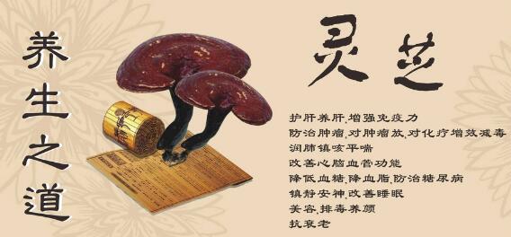 破壁灵芝孢子粉有副作用吗?破壁灵芝孢子粉的副作用严重吗?-第1张图片-灵芝之家 破壁灵芝孢子粉有副作用吗?破壁灵芝孢子粉的副作用严重吗?-第1张图片-灵芝之家