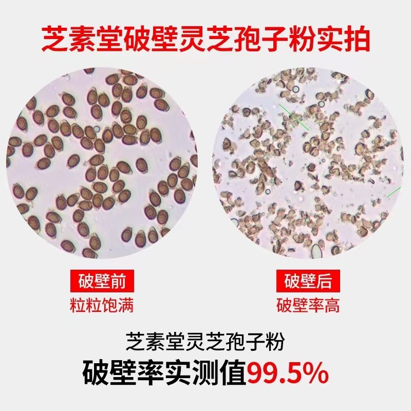 什么品牌的孢子粉才正宗?灵芝孢子粉不溶于水正常吗?-第2张图片-灵芝之家 什么品牌的孢子粉才正宗?灵芝孢子粉不溶于水正常吗?-第2张图片-灵芝之家