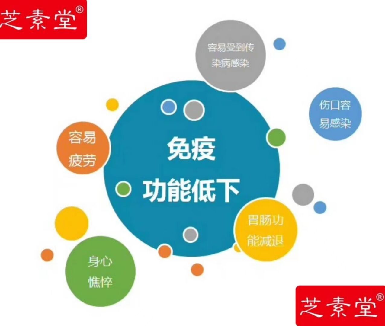 灵芝孢子粉真的那么神奇吗?亚健康人群都选择灵芝孢子粉提高免疫力-第1张图片-灵芝之家 灵芝孢子粉真的那么神奇吗?亚健康人群都选择灵芝孢子粉提高免疫力-第1张图片-灵芝之家