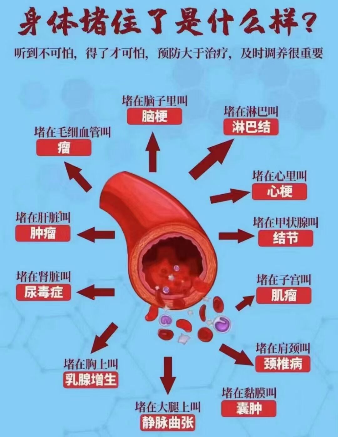 灵芝孢子油软胶囊味道苦吗?高血压能吃灵芝孢子油软胶囊吗?-第1张图片-灵芝之家 灵芝孢子油软胶囊味道苦吗?高血压能吃灵芝孢子油软胶囊吗?-第1张图片-灵芝之家
