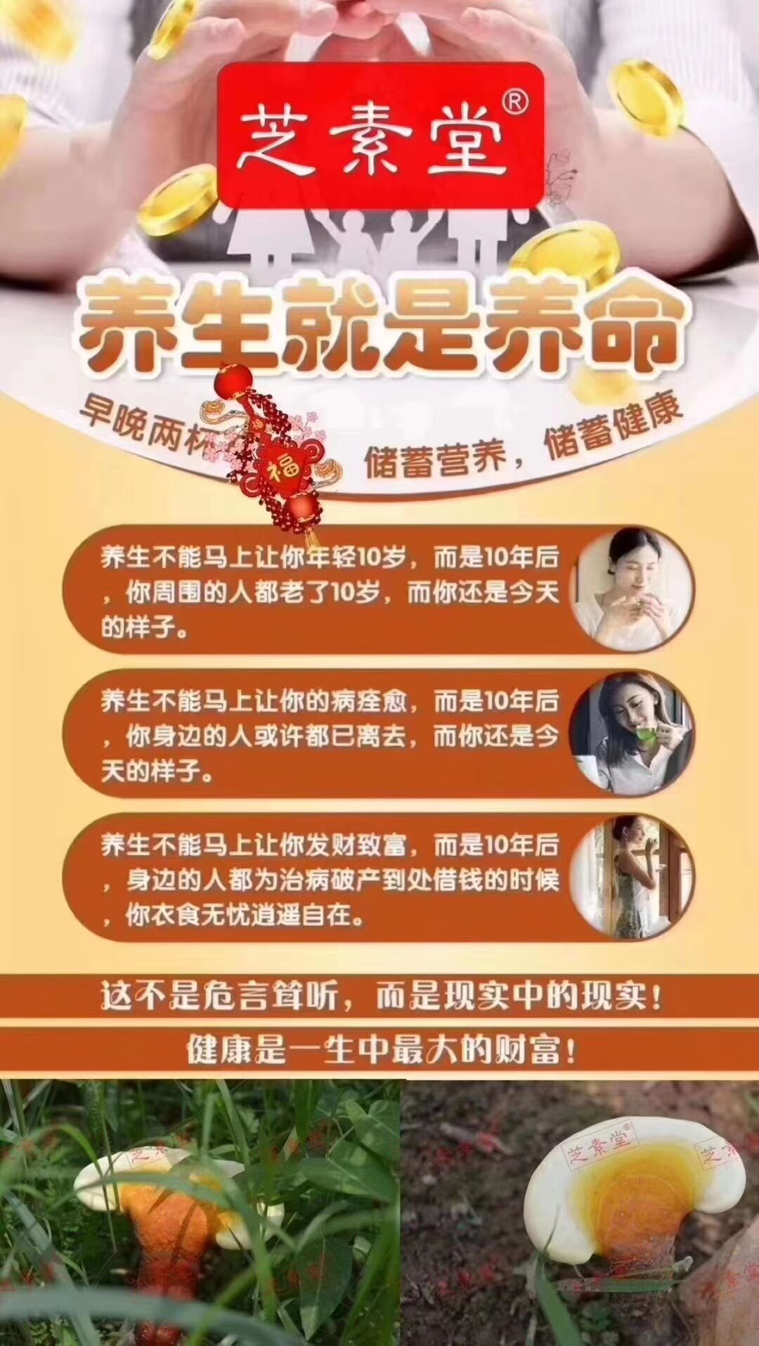 换季养生灵芝孢子粉的功效与作用正当时-第1张图片-灵芝之家 换季养生灵芝孢子粉的功效与作用正当时-第1张图片-灵芝之家