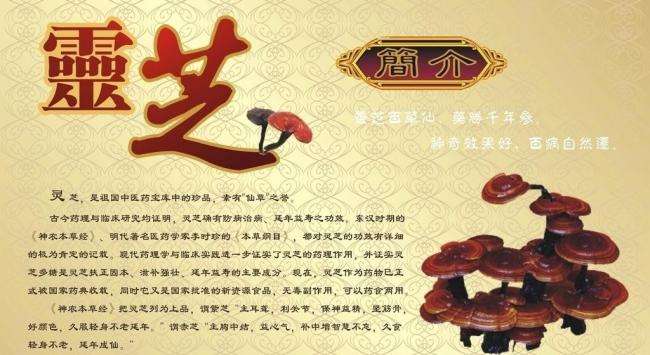 灵芝孢子粉的功效和副作用,知道这几点效果更好!-第1张图片-灵芝之家 灵芝孢子粉的功效和副作用,知道这几点效果更好!-第1张图片-灵芝之家