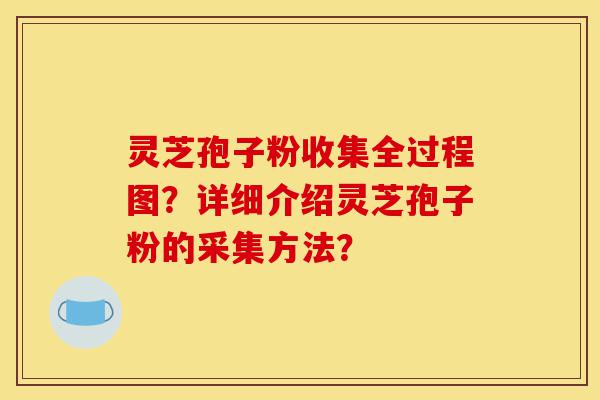 灵芝孢子粉收集全过程图?详细介绍灵芝孢子粉的采集方法?-第1张图片-灵芝之家 灵芝孢子粉收集全过程图?详细介绍灵芝孢子粉的采集方法?-第1张图片-灵芝之家