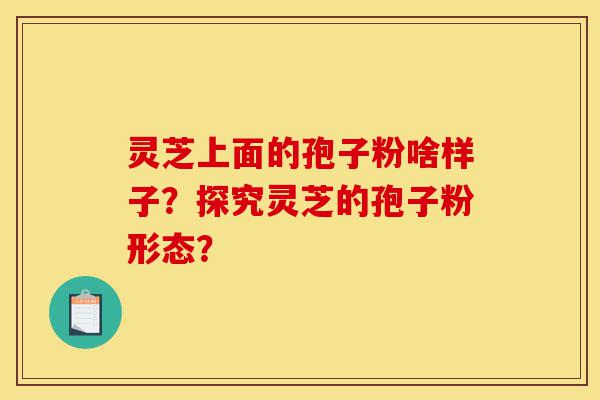 灵芝上面的孢子粉啥样子?探究灵芝的孢子粉形态?-第1张图片-灵芝之家 灵芝上面的孢子粉啥样子?探究灵芝的孢子粉形态?-第1张图片-灵芝之家