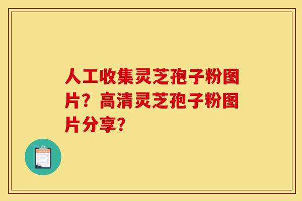 人工收集灵芝孢子粉图片?高清灵芝孢子粉图片分享?-第1张图片-灵芝之家 人工收集灵芝孢子粉图片?高清灵芝孢子粉图片分享?-第1张图片-灵芝之家