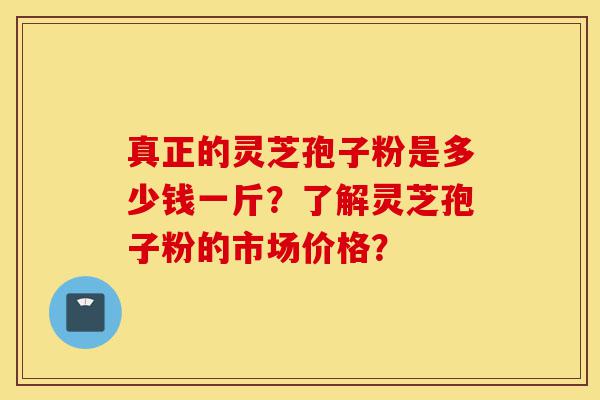 真正的灵芝孢子粉是多少钱一斤?了解灵芝孢子粉的市场价格?-第1张图片-灵芝之家 真正的灵芝孢子粉是多少钱一斤?了解灵芝孢子粉的市场价格?-第1张图片-灵芝之家
