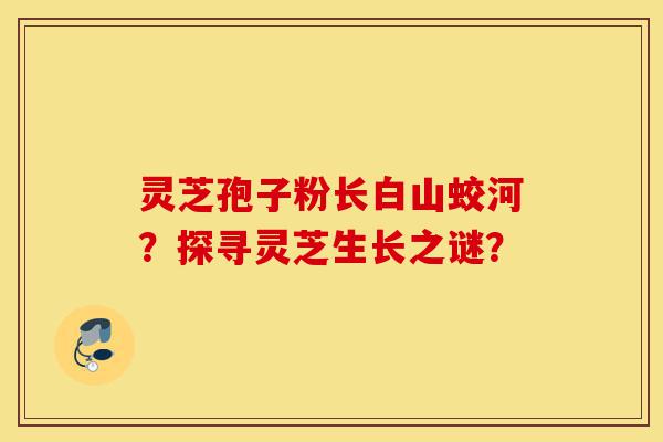 灵芝孢子粉长白山蛟河?探寻灵芝生长之谜?-第1张图片-灵芝之家 灵芝孢子粉长白山蛟河?探寻灵芝生长之谜?-第1张图片-灵芝之家
