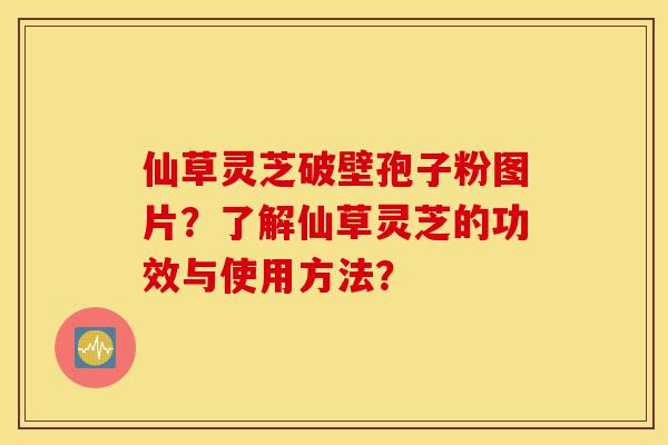 仙草灵芝破壁孢子粉图片?了解仙草灵芝的功效与使用方法?-第1张图片-灵芝之家 仙草灵芝破壁孢子粉图片?了解仙草灵芝的功效与使用方法?-第1张图片-灵芝之家