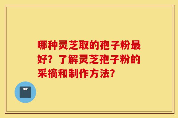 哪种灵芝取的孢子粉最好?了解灵芝孢子粉的采摘和制作方法?-第1张图片-灵芝之家 哪种灵芝取的孢子粉最好?了解灵芝孢子粉的采摘和制作方法?-第1张图片-灵芝之家