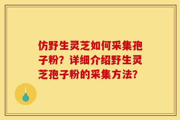 仿野生灵芝如何采集孢子粉?详细介绍野生灵芝孢子粉的采集方法?-第1张图片-灵芝之家 仿野生灵芝如何采集孢子粉?详细介绍野生灵芝孢子粉的采集方法?-第1张图片-灵芝之家