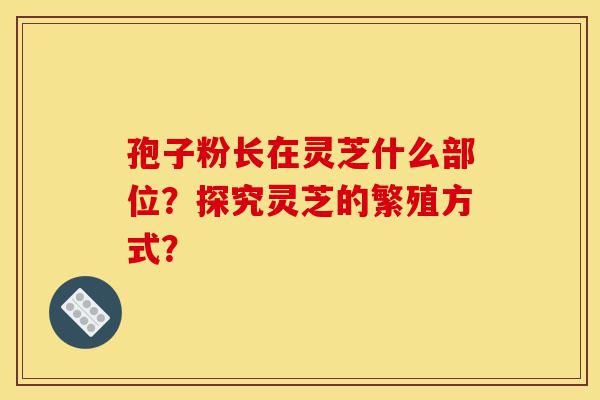 孢子粉长在灵芝什么部位?探究灵芝的繁殖方式?-第1张图片-灵芝之家 孢子粉长在灵芝什么部位?探究灵芝的繁殖方式?-第1张图片-灵芝之家