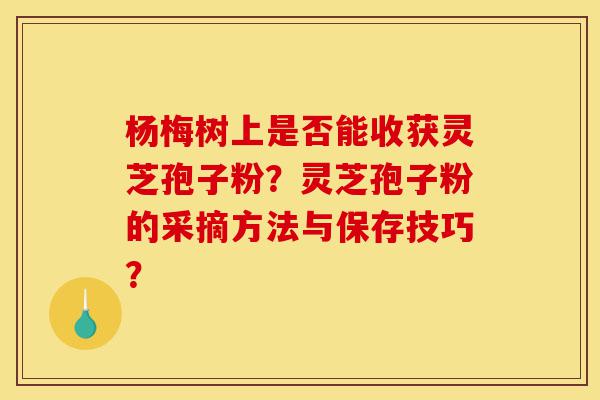 杨梅树上是否能收获灵芝孢子粉？灵芝孢子粉的采摘方法与保存技巧？-第1张图片-灵芝之家