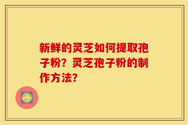 新鲜的灵芝如何提取孢子粉？灵芝孢子粉的制作方法？-第1张图片-灵芝之家