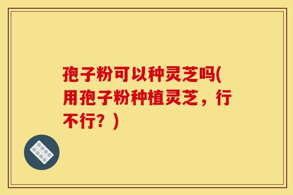 孢子粉可以种灵芝吗(用孢子粉种植灵芝,行不行?)-第1张图片-灵芝之家 孢子粉可以种灵芝吗(用孢子粉种植灵芝,行不行?)-第1张图片-灵芝之家